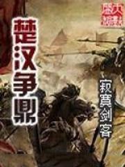 楚汉争鼎59
