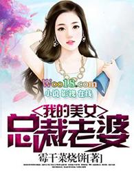 我的美女董事长老婆林菲