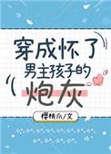 穿成怀了男主孩子的炮灰h